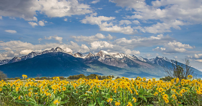 5 Valleys Land Trust