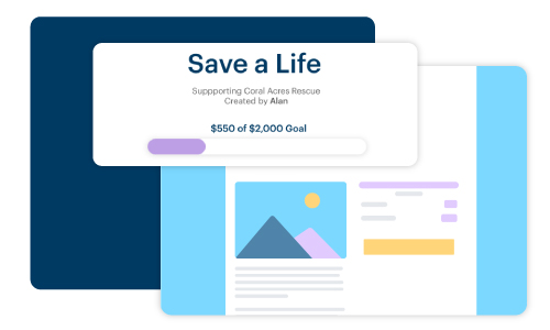 Crowdfunding Campaign