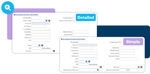 Image of two different custom set ups for the DonorPerfect fields. One detailed and one simple.