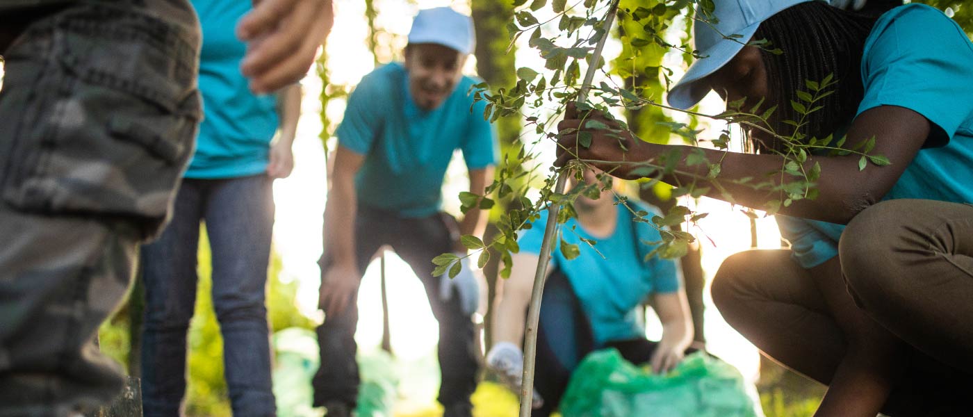 DonorPerfect for environmental organizations hero