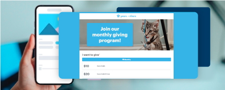 DonorPerfect online form screenshot