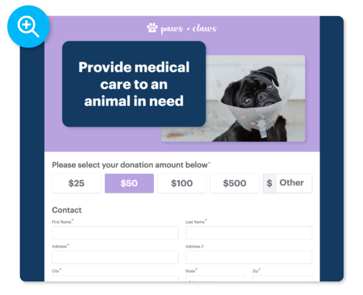 DonorPerfect Online Donation Form Example: Provide Medical Care to an animal in need