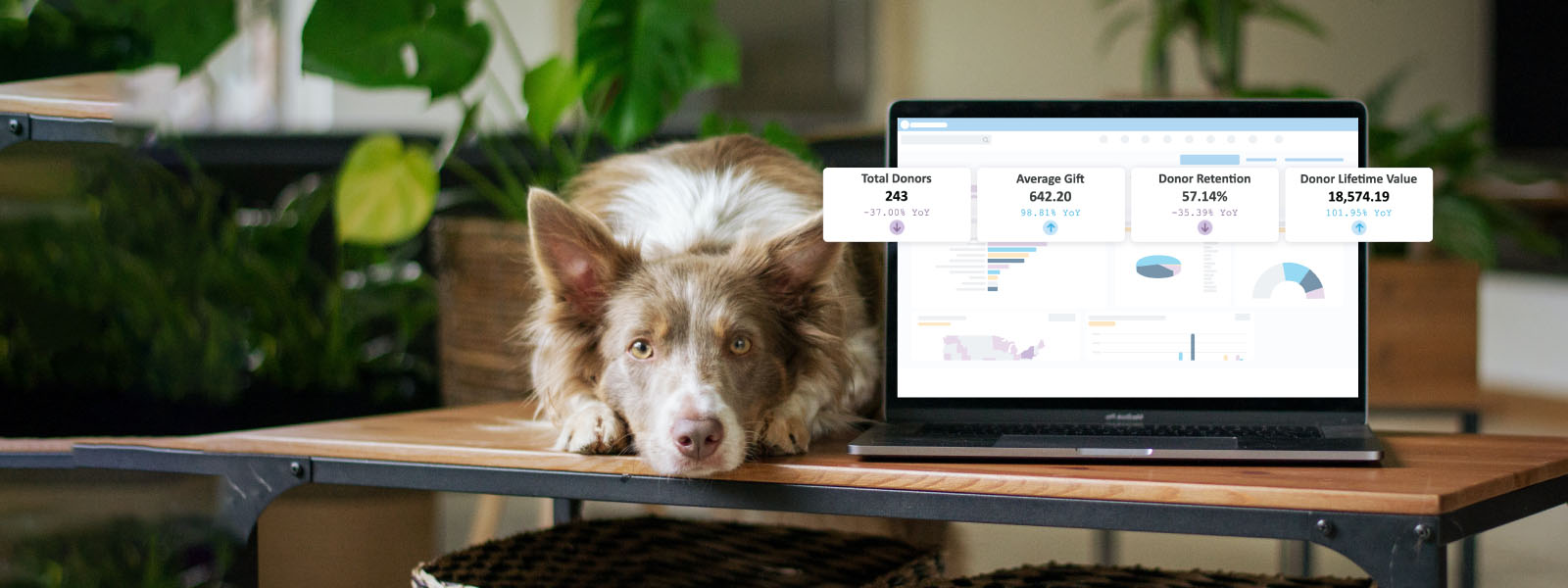 Desktop mockup with cute dog