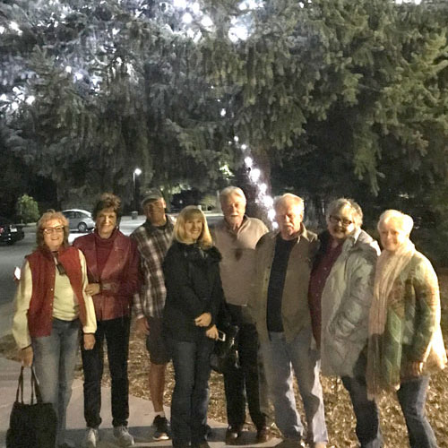 Tree of Lights Group
