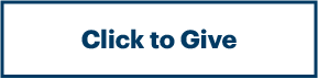 Click to give example button
