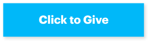 Click to give example button
