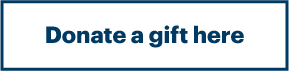 Donate a gift here example button