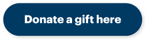 Donate a gift here example button