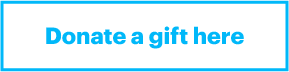 Donate a gift here example button