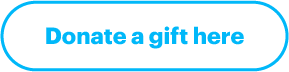 Donate a gift here example button