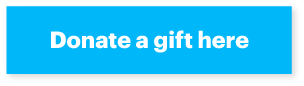 Donate a gift here example button