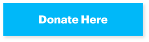Donate Here example button