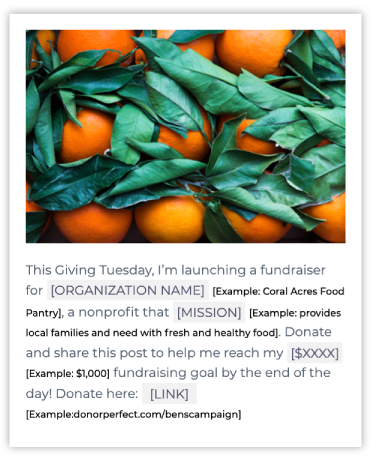 Giving Tuesday social media template - crowdfunding campaign announcement