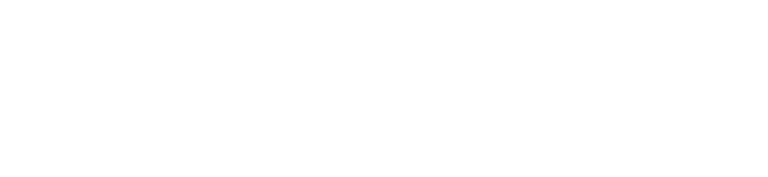 dp checkscan logo