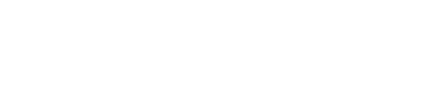 dp checkscan logo