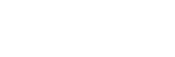 dp mobile logo