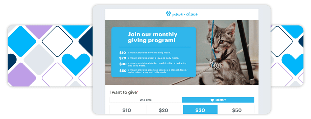 An example of a DP Online Form, with a hero image and selections for donation amount.