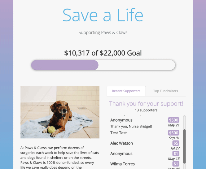 Crowdfunding Form Example