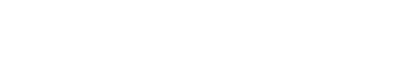 readysetauction logo